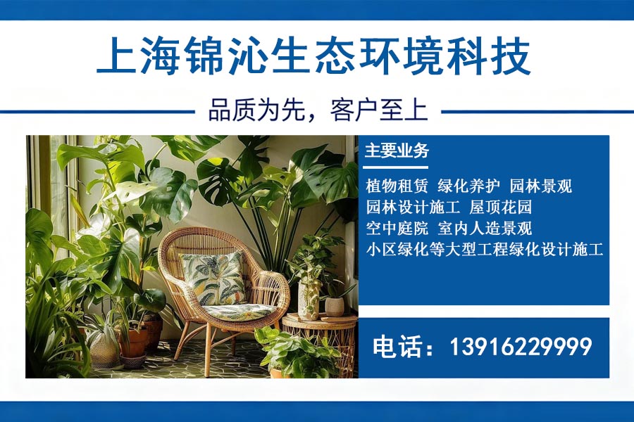 锦沁生态嘉定线上分站